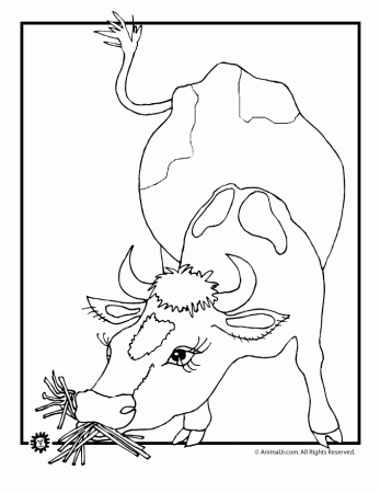 7 Fat Cows, 7 Skinny Cows - Coloring Page - Coloring Home
