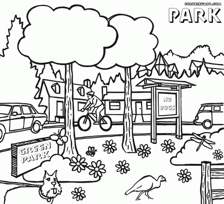 At The Park Colouring Pages Coloring Home