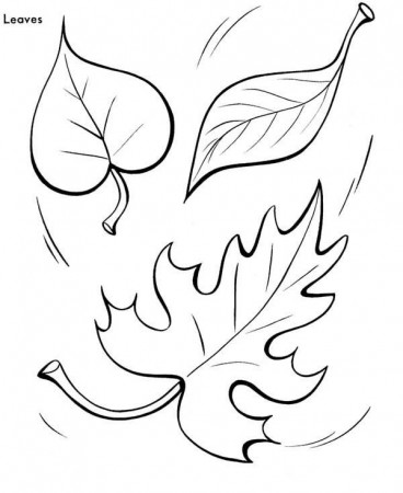 Fall Leaves Coloring Pages - Printable Free Coloring Pages