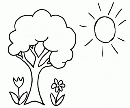 bare tree coloring page. a bare tree colouring pages. fall trees ...