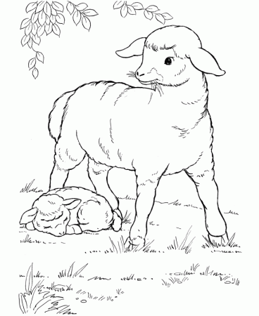 Farm Animal Coloring Pages | Mother Sheep Coloring Page and Kids ...