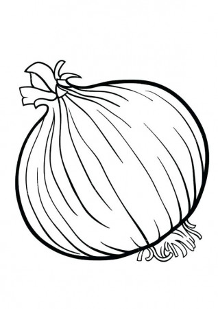 Coloring Pages | Onion Coloring Page