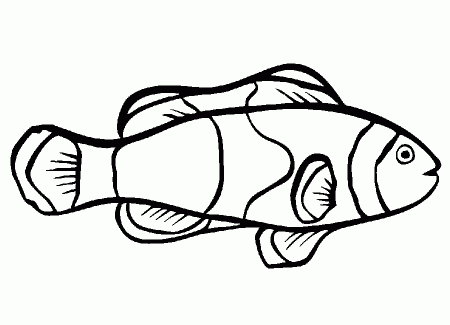 Clownfish coloring page - Animals Town - animals color sheet ...