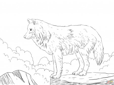 Baby Wolf coloring page | Free Printable Coloring Pages