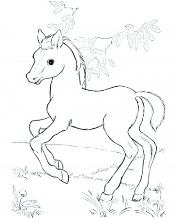 Coloring Pages : Coloring Pages Horses Baby With Horse ...