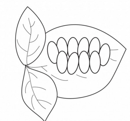 Butterfly Life Cycle Coloring Pages For Children - Coloring pages ...