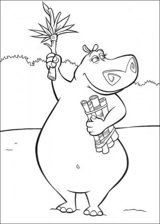 MADAGASCAR coloring pages : 24 Madagascar online coloring sheets 