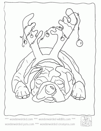 Christmas Dog Pictures to Color,Echo's Cartoon Dog Christmas ...