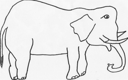 Animal Coloring Elephant Coloring Pages Printable Elephant 