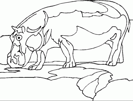 Coloring Page - Hippo animals coloring pages 3