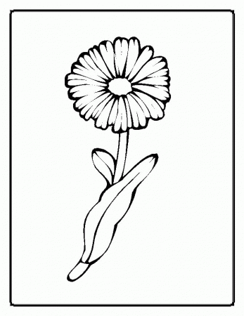 Spring flowers coloring pages for kids | Flower Coloring Pages for 
