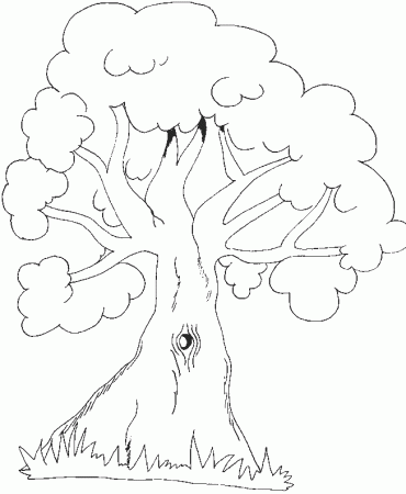 Tree Trunk Coloring Pages 189 | Free Printable Coloring Pages