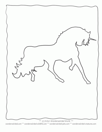 Realistic Unicorn Coloring Pictures Book, Echo's Unicorn Coloring 