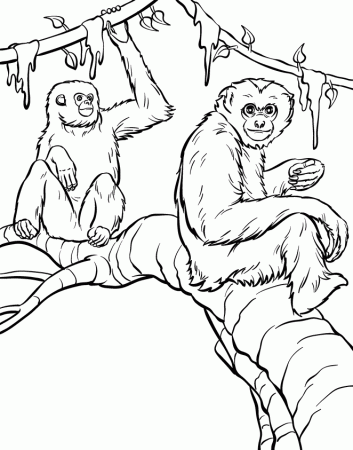 Coloring Book Page Illustrator Animal Coloring Book Artist