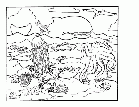 sea cretures Colouring Pages
