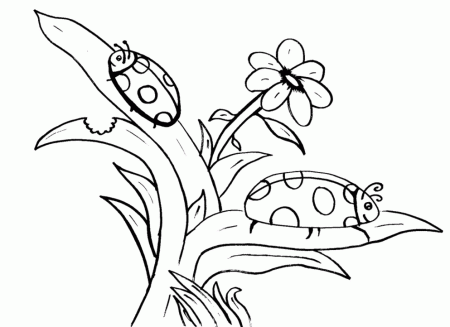 Ladybug Coloring Page | Coloring Pages