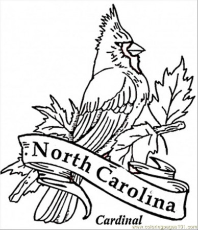North Carolina Coloring Pages