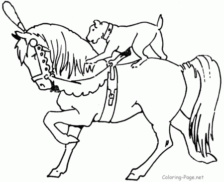 Horse Coloring Page - Circus trick