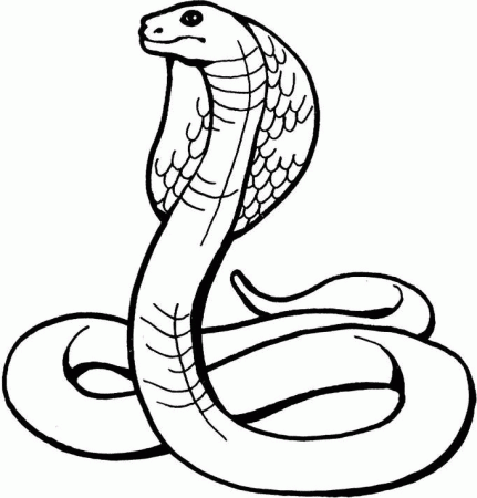 Coloring Pages Of Snakes - Free Printable Coloring Pages | Free 