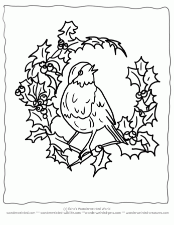 Free Printable Christmas Coloring Pages Birds, Echo's Christmas ...