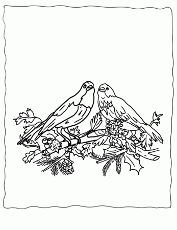 Printable Christmas Coloring Pages Birds, Echo's Winter Birds to Color
