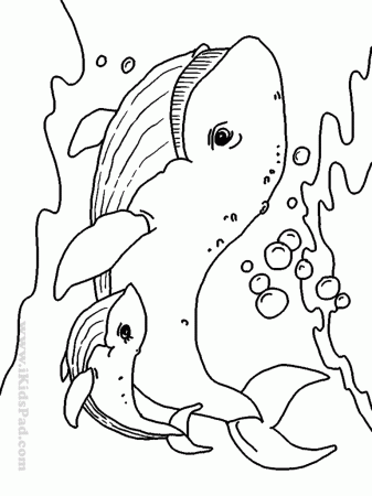 Free printable sea animals coloring book for kids