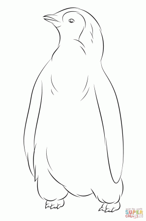 Baby Penguin coloring page | Free Printable Coloring Pages