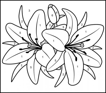 Adult Coloring Pages Printable Paint By Numbers