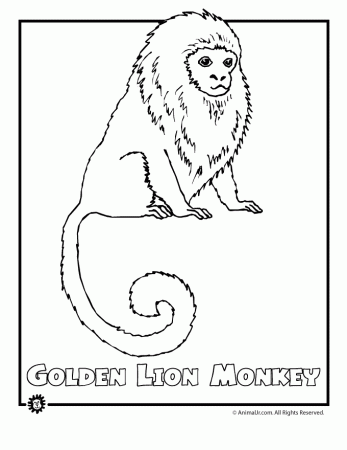 Endangered Animals Coloring Pages: Animals from North America, the ...