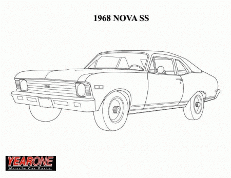 Nova - Coloring Pages for Kids and for Adults