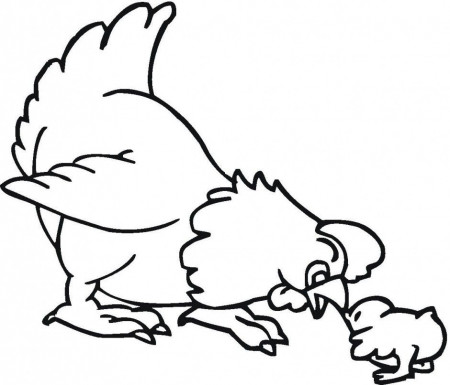 Baby Chick Coloring Kids Colouring Pages 293351 Baby Chick 