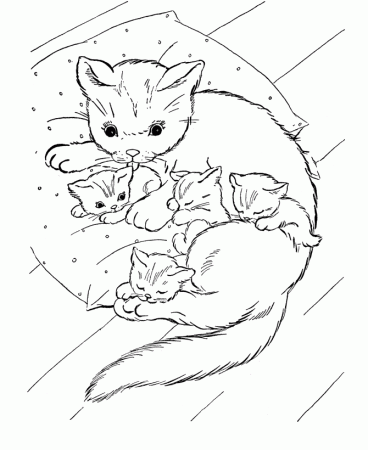 Kitten Coloring Pages for Kids- Free Coloring Pages to print