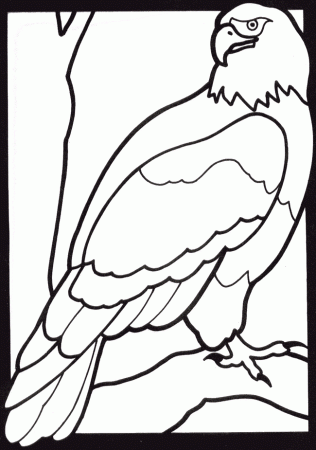Coloring Pages Animals - 2013