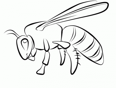 Free Printable Bee Coloring Pages For Kids
