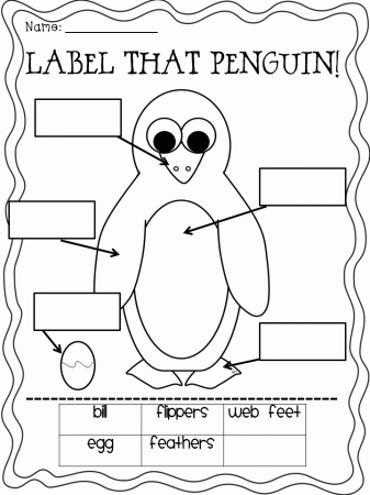 For the Love of First Grade: Plenty of Penguin Ideas and Printables