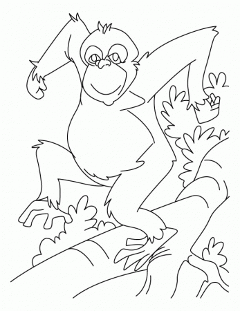 Chimpanzee Coloring Pages To Kids