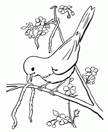 Spring Early Bird Coloring Sheet - smilecoloring.com