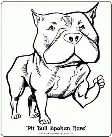 pitbul dogs Colouring Pages (page 3)