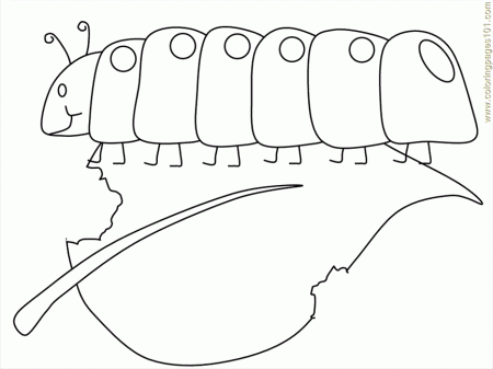 Coloring Pages Caterpillar (Insects > Caterpillar) - free 