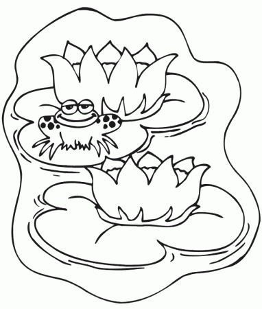 Frog And Lily Pad Coloring Pages | Bulbulk Com