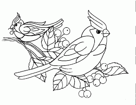 Bird Coloring Pages (3) | Coloring Kids