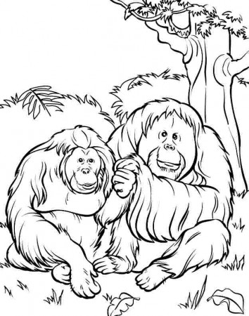 funny cartoon orangutans Colouring Pages (page 3)
