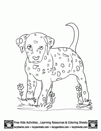 Dalmation Coloring Pages - Free Printable Coloring Pages | Free 