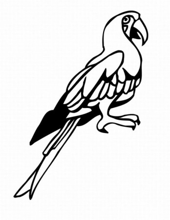 Tropical Bird Coloring Pages Disney Coloring Pages 166264 Bird 