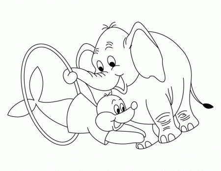 Elephant with seal showing circus coloring page | Download Free 