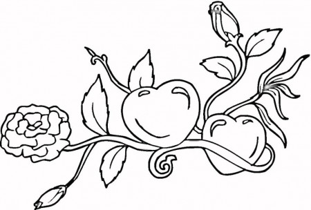 hearts and roses valentines day coloring pages