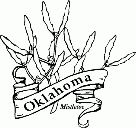 Ohio State Flower Coloring Page