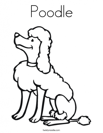 Gallery For > Poodle Drawing Outline