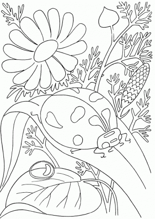 Insect coloring pages for children