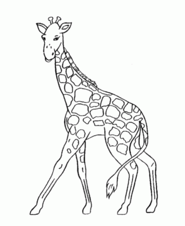 christmas coloring pages mas things